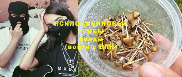 дживик Тайга