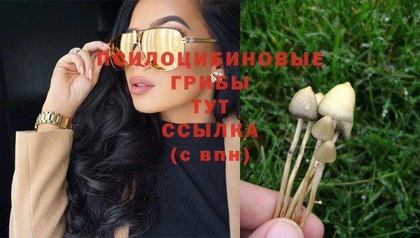 не бодяженный Тавда