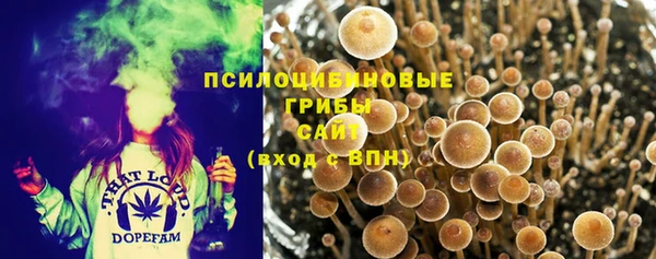 дживик Тайга