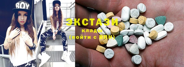 дживик Тайга
