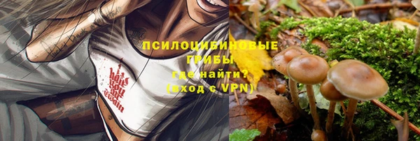 а пвп мука Сясьстрой