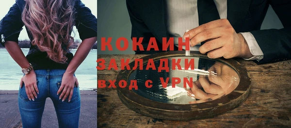 дживик Тайга