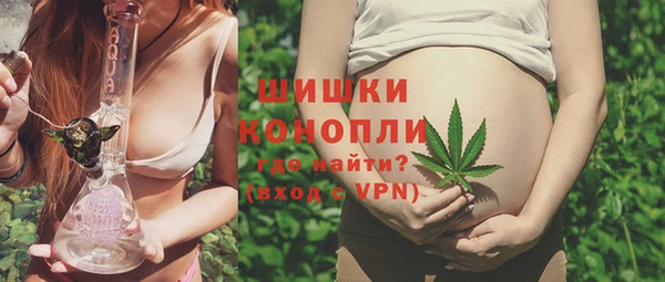 дживик Тайга