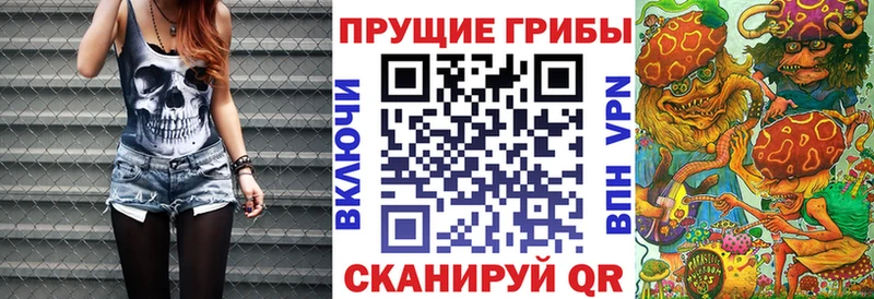 Псилоцибиновые грибы мицелий  купить закладку  Чёрмоз 